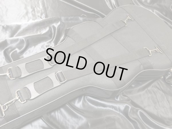 画像5: AAAウルトラライトケース ストラト・テレキャス用 (5)