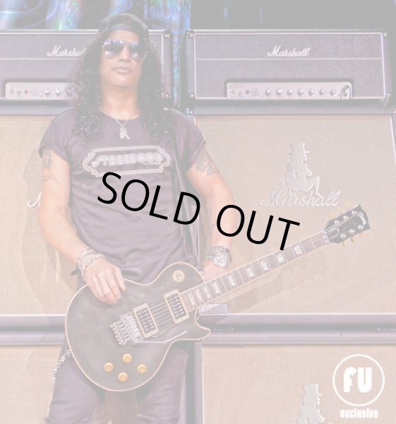 画像3: FU-Tone / Titanium Replacement Saddles for Floyd Rose フロイドローズ用チタン製サドル スラッシュ フィル・コリン使用 (3)