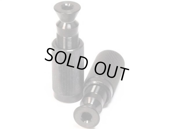 画像2: FU-Tone / チタン製 フロイド・ローズ用ブリッジポスト (2)