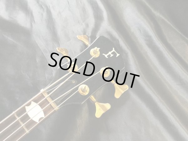 画像3: Fernandes (3)