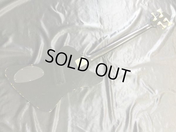 画像4: Fernandes (4)