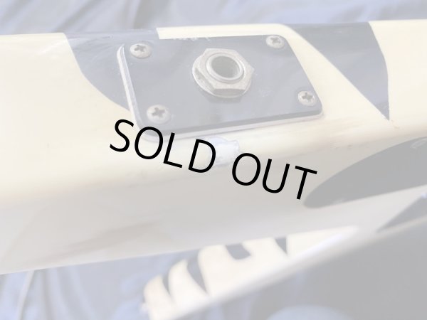 画像7: Aria Pro II / XX Deluxe Zebra (7)