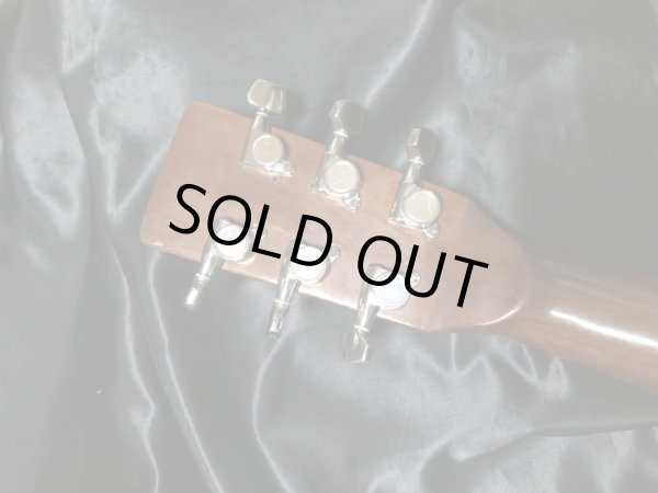 画像7: Hill Billy / W-60 (7)