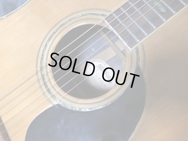 画像3: Hill Billy / W-60 (3)