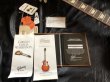画像9: Gibson Custom Shop / Histric Collection 120th Anniversary / 1960 Les Paul Standard Reissue V.O.S. / Washed Cherry 2014 (9)