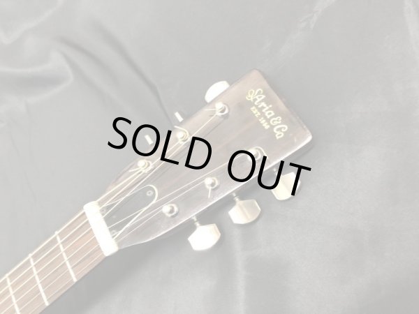 画像4: Aria / F-130 Martinロゴ (4)