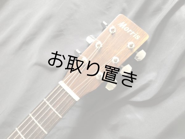 画像4: Morris / MD-502 TS 美品! (4)