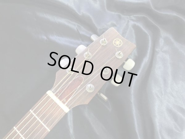 画像5: Yamaha FG-170 グリーンラベル (5)