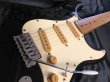 画像3: Fender Mexico / Stratocaster Squier Series (3)