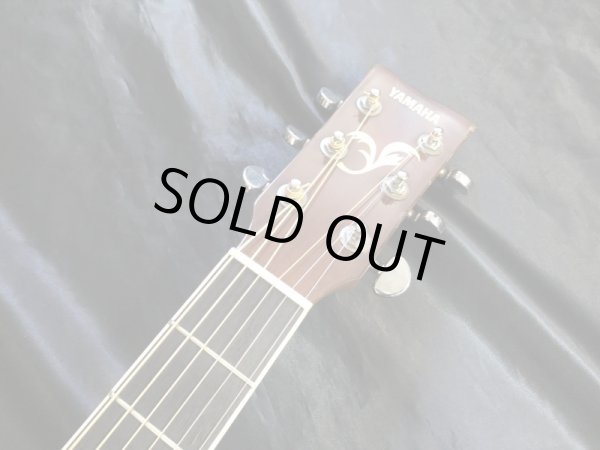 画像5: YAMAHA / FG-422 TBS (5)