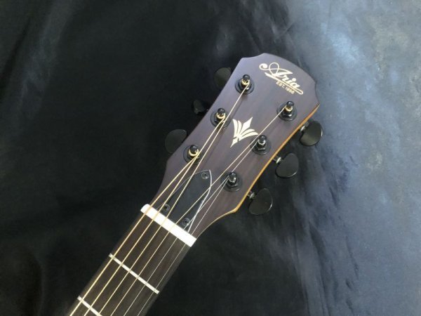 画像3: Aria / FET-F2 STBR / Brown エレアコ（新品） (3)