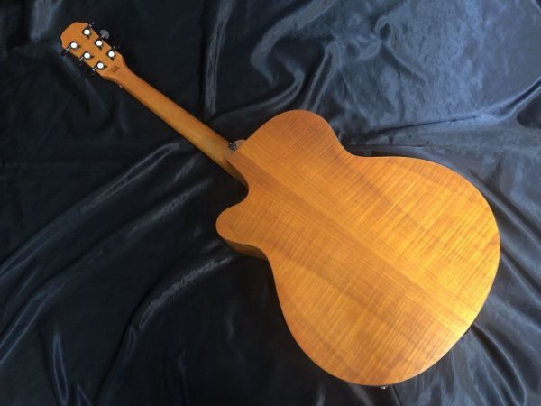 画像5: Aria / FET-F2 STBR / Brown エレアコ（新品） (5)