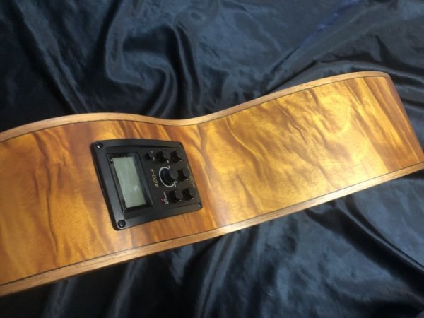 画像4: Aria / FET-F2 STBR / Brown エレアコ（新品） (4)