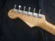 画像8: Fender Japan / 1994 40th Anniversary Stratocaster ST62-AS  (8)