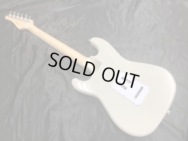 画像6: KRAMER / Focus VT-211S Pewter Grey / Factory 2nd （新品） (6)