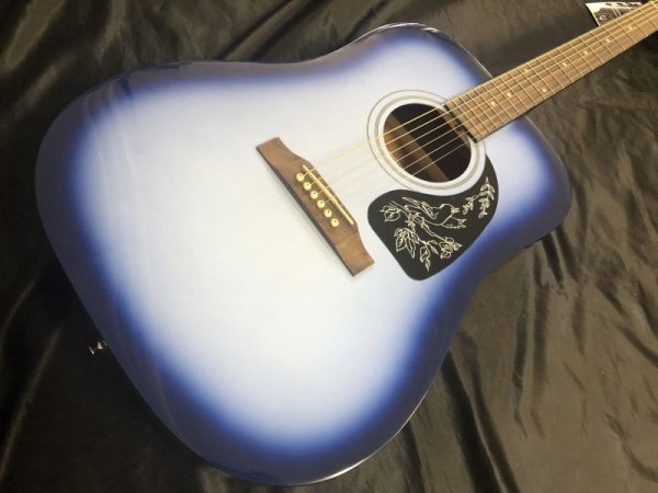 画像2: Epiphone / Starling Starlight Blue / Factory 2nd (新品) (2)