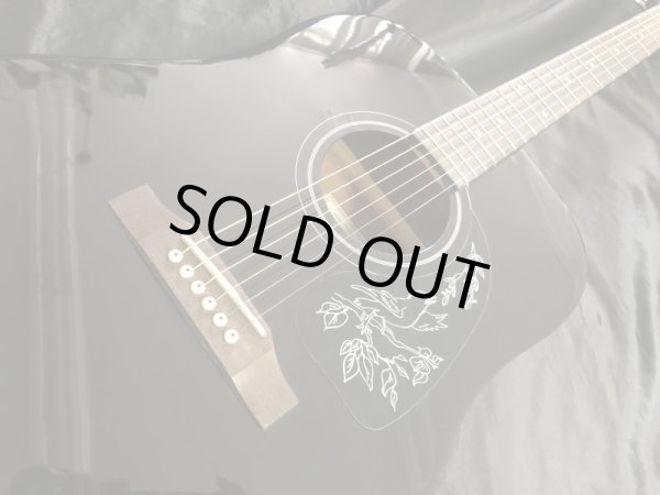 画像3: Epiphone / Starling Ebony / Factory 2nd (新品) (3)