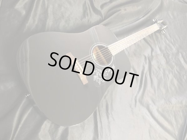 画像2: Epiphone / Starling Ebony / Factory 2nd (新品) (2)