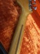 画像13: Fender USA / Stratocaster White 1977年製 / Birdseye Maple Neck   (13)