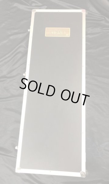 画像15: ESP / Eclipse S-III SUGIZO (15)