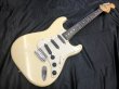 画像1: Fender Japan / ST-72-65 (1)