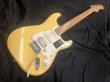 画像1: Fender / Player Stratocaster SSH Maple Neck / Butter Cream 美品！ (1)