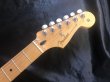 画像6: Fender / Player Stratocaster SSH Maple Neck / Butter Cream 美品！ (6)