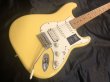画像3: Fender / Player Stratocaster SSH Maple Neck / Butter Cream 美品！ (3)