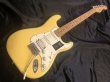 画像2: Fender / Player Stratocaster SSH Maple Neck / Butter Cream 美品！ (2)