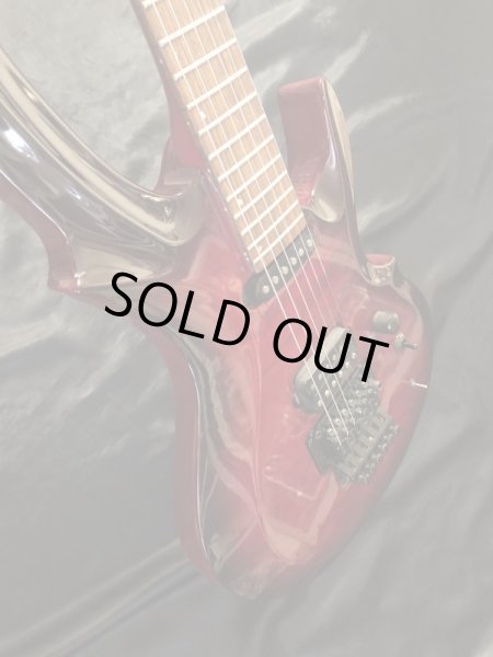 画像10: Grassroots / G-TN-58 レインディア (10)