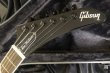 画像5: Gibson USA / Dave Mustaine Flying V EXP / Silver Metallic  (新品) (5)