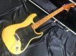 画像1: Fender USA / 25th Anniversary Stratocaster 1979年製 (1)