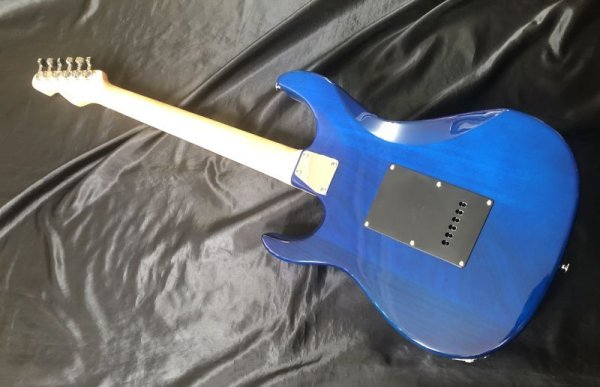 画像7: GrassRoots / G-SN-CTM / See Thru Blue（新品・送料無料） (7)