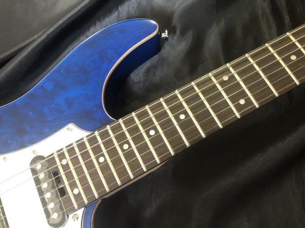 画像5: GrassRoots / G-SN-CTM / See Thru Blue（新品・送料無料） (5)