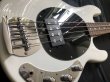 画像3: Sterling by MUSIC MAN / S.U.B. Series / Stingray Ray4  (3)