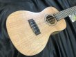 画像2: KALA / KA-CEM　Exotic Mahogany Concert　ウクレレ （新品） (2)