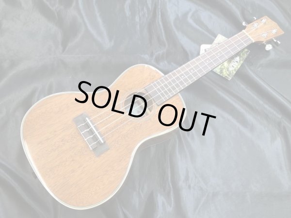 画像2: KALA / KA-CG Gloss Mahobany Concert ウクレレ(新品) (2)