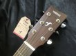 画像6: Yamaha / FG-800 Natural  (新品)　杢目・美麗おすすめ！ (6)