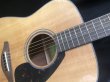 画像3: Yamaha / FG-800 Natural  (新品)　杢目・美麗おすすめ！ (3)