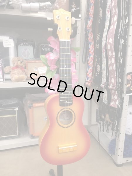 画像3: Alamoana UK-100G ウクレレ  新品 (3)