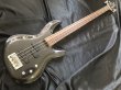 画像1: Aria Pro II / IGB-STD MBK メタリック・ブラック ベース (新品) (1)