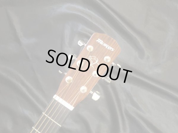 画像5: Morris / F-01 II (5)