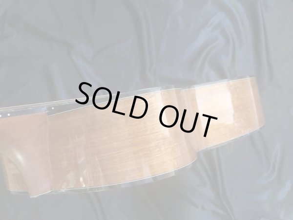 画像7: Morris / F-01 II (7)