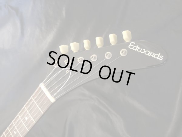 画像6: Edwards / E-EX-120D  (6)