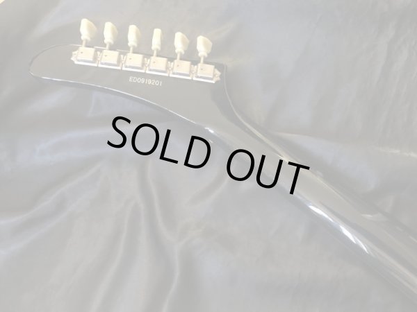 画像9: Edwards / E-EX-120D  (9)