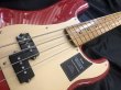 画像4: Fender Mexico / Vintera 50s Precision Bass　美品！ (4)