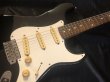 画像3: Fender Japan / 1994 40th Anniversary Stratocaster ST62-AS ボディ変更 (3)