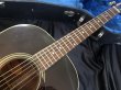 画像5: Orville by Gibson / J-45 (5)