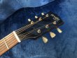 画像7: Orville by Gibson / J-45 (7)