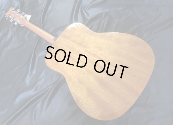 画像6: Yamaha / FG-800 Natural  (新品)　 (6)